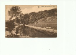 Gougnies Château Piscine - Gerpinnes