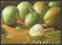 Philippines,  Young Coconut. - Filipinas