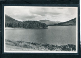 UNITED KINGDOM -  Achnasheen : Loch Rosque Towards Sgurr-na-Vullin - Ross & Cromarty