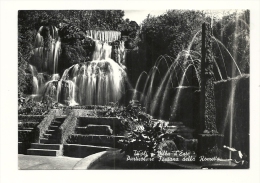 Cp, Italie, Tivoli, Villa D'Este, Détail De La Fontaine De La Rometta, Voyagée 1964 - Tivoli