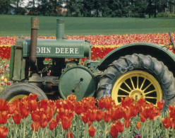 (601) John Deere Tractor In Field Of Tulips - Trattori