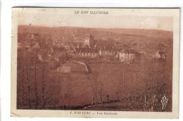 CPSM SALVIAC (Lot) - Vue Générale - Salviac