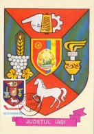 IASI COUNTY COAT OF ARMS, CM, MAXICARD, CARTES MAXIMUM, 1978, ROMANIA - Otros & Sin Clasificación