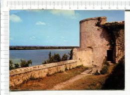 BLAYE  -  La Tour Des Oiseaux - Blaye