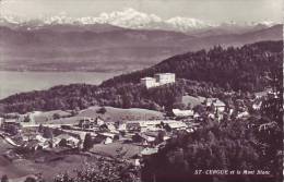 SUISSE - ST CERGUE Et Le Mont Blanc - Nr 8885 A. Deriaz à Baulmes - D9 208 - Baulmes