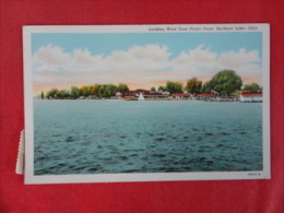Looking West Buckeye Lake Ohio Not Mailed Has  3 One Cent Stamps  Back    Ref 1204 - Other & Unclassified