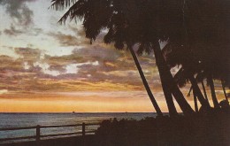 Hawaiian   -  Sunset  S-816 - Andere & Zonder Classificatie