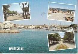 MEZE  (34)  Le Port, La Plage, L´Esplanade - Mèze