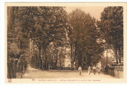 CAMBO Les BAINS - Route D´Itxassou Et Allées Des Thermes - Labouche 22 - Non Circulé - Tbe - Cambo-les-Bains