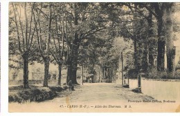 CAMBO Les BAINS - Allée Des Thermes - Cambo-les-Bains