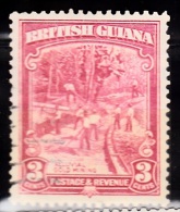 British Guiana, 1934, SG 290, Used (Perforation: 12,5x12,5) - Guyane Britannique (...-1966)