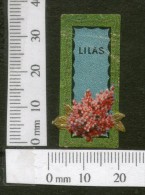 India 1950's Lilas Flowers French Print Vintage Perfume Label Multi-colour # 3951 - Etiquettes