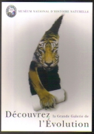 Carte Postale édition "Carte à Pub" - Muséum Nat. D'histoire Naturelle - Grande Galerie De L'évolution (tigre) - Tijgers