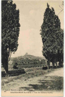 CHATEAUNEUF DU PAPE :  Prise De Vue Originale  " Vue Du Château Fortia " - Chateauneuf Du Pape