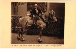 Binnenschepen  Batellerie HALEUR   1 CP  Le Dernier Cheval De Halage De L'Ourthe Streupas 1929 Jagertje  Pferd Paard - Houseboats