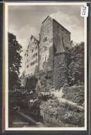 SCHLOSS WILDEGG - TB - Wildegg