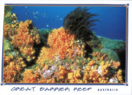 (669) Australia - QLD - Great Barrier Reef - Great Barrier Reef