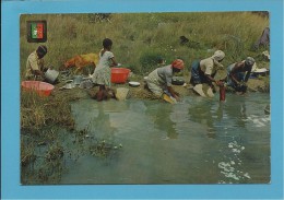 LUANDA - Rio Cuanza - Lavadeiras - Washerwomen - Lavandières - Costumes - Ethnic - Angola - 2 SCANS - Angola