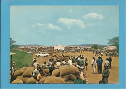 Carmona ( Distrito ) - Mercado De Café - Coffee Market - Marché Du Café - Costumes - Ethnic - Angola - 2 SCANS - Angola