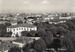 SENIGALLIA 1953 - PANORAMA - C869 - Senigallia