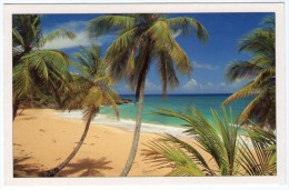 REPUBLICA DOMINICANA-PLAYA GRANDE - Dominicaine (République)