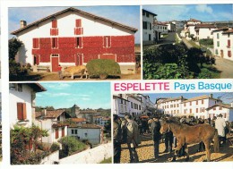 ESPELETTE - Pays Basque - Vues Générales Séchage Des Piments - Foire Aux Pottoks - Espelette