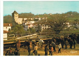 ESPELETTE -La Foire Aux Pottoks à Espelette - TBE - Espelette