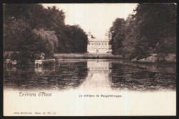 Environs D' ALOST - AALST - Le Château De REGGELSBRUGGE - Kasteel  // - Aalst