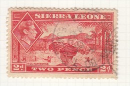 KING GEORGE VI - Issued 1938 - Sierra Leona (...-1960)