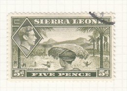 KING GEORGE VI - Issued 1938 - Sierra Leone (...-1960)