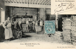 MAISON-BOUCHE FILS Et CIE-le Pressurage - Mareuil-sur-Ay