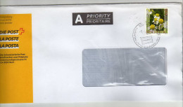 Switzerland / Letters / Covers - Storia Postale