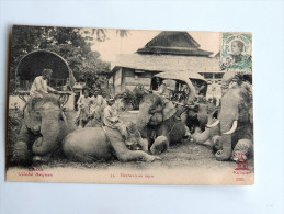 Carte Postale Ancienne : LAOS : Elephants Au Repos - Laos