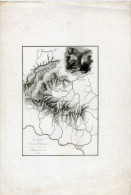 Royaume-Uni, Carte , Tully Veolan, Earn Loch, Doune,,Terth. Waverley,Lithographie - Topographische Karten