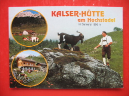 KALSER-HUTTE AM HOCHSTADEL MIT SENNEREI 1800 M - Oberdrauburg