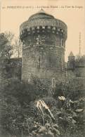 FOUGERES LE CHATEAU FEODAL LA TOUR DE COIGNY - Fougeres