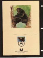 Sierra Leone: WWF: 1983 Très Belle Série De Documents WWF (18 X 26,5 Cm) Singes Les Chimpanzés En Danger - Scimpanzé