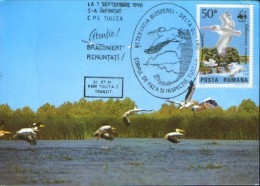 Romania-Maxicard - Birds-  Pelicans ; Pelikane - Pelikanen