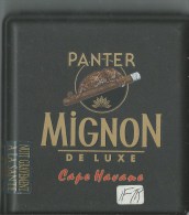 Boite A Cigare En Plastique Mignon - Zigarrenetuis