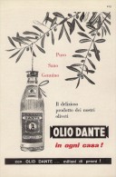 # OLIO DANTE 1950s Advert Pubblicità Publicitè Reklame Food Olio Huile Oil Ol Aceite - Poster & Plakate