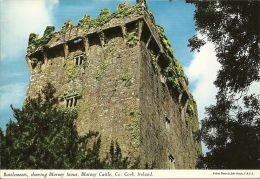 IRELAND  IRLANDA  CORK BATTLEMENTS  Blarney Castle  Nice Stamp - Cork