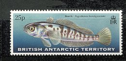 Antarctique Britann.** N° 304 - Poisson - Unused Stamps