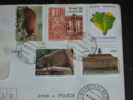 LETTRE BRESIL BRASIL AVEC YT 1881 1882 1904 1905 1910 - PORC EPIC EPINEUX - CHIEN DES BUISSONS - TRIBUNAL - BIBLIOTHEQUE - Storia Postale