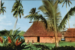 (208) Fiji Island - Fijian Bure - Fidji