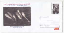 WHALES HUNTINGS HISTORY, COVER STATIONERY, ENTIER POSTAL, 2006, ROMANIA - Wale