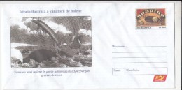 WHALES HUNTINGS HISTORY, SSHIPS, HARPOONS, COVER STATIONERY, ENTIER POSTAL, 2006, ROMANIA - Ballenas