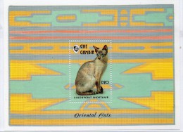 Hb-193 The Gambia - Hauskatzen