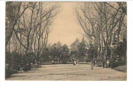 SAINT-NAZAIRE - Le Jardin Des Plantes - Saint Nazaire