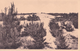 KEERBERGEN : Hoge Duinen - Keerbergen