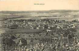 Fev14 672: Vic-sur-Seille - Vic Sur Seille